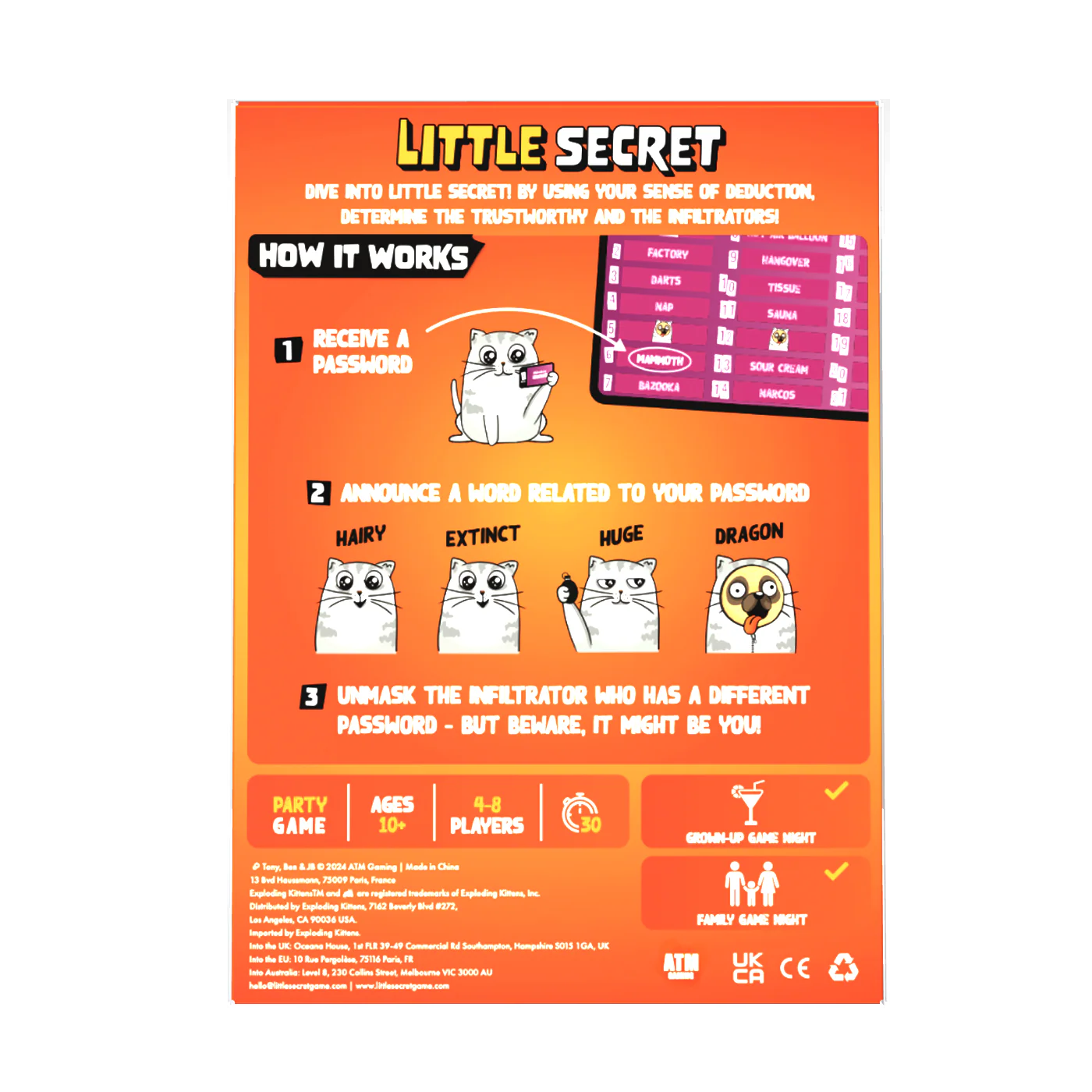 Little Secret - Image 7